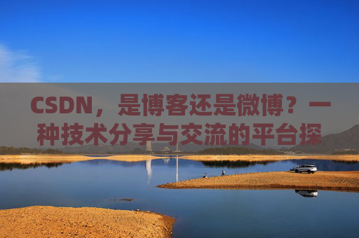 CSDN,是博客还是微博?一种技术分享与交流的平台探讨